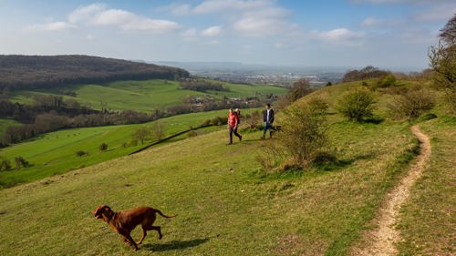 dog_walking_gloucestershire