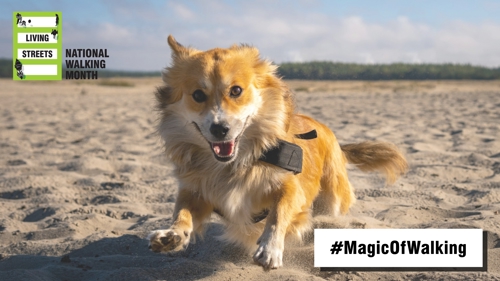 national walking month